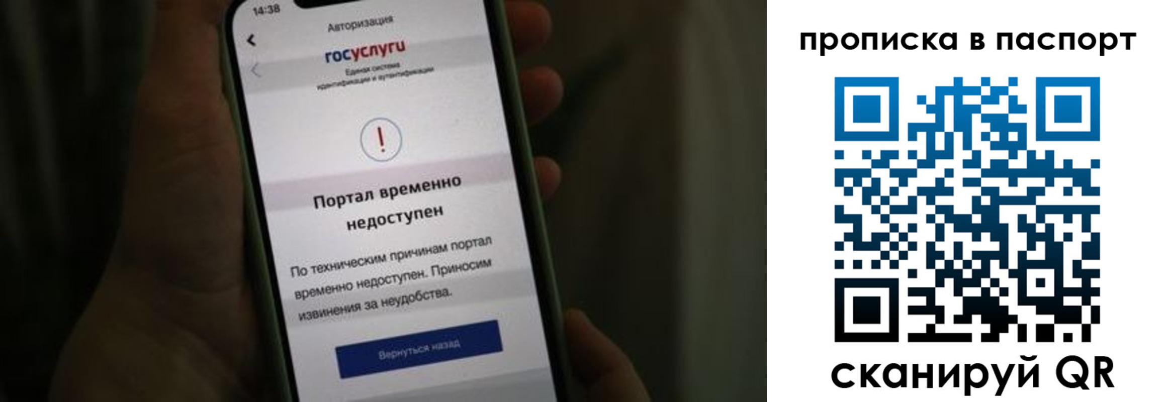временная регистрация для школы в Тогучине